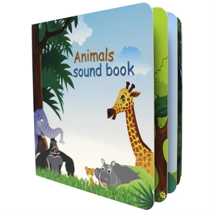 Books You Can Record Your Voice For Education